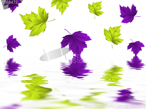Image of leaf