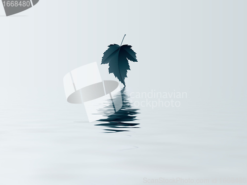 Image of leaf