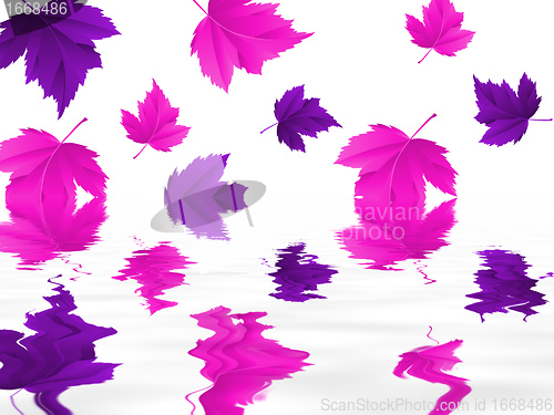 Image of leaf
