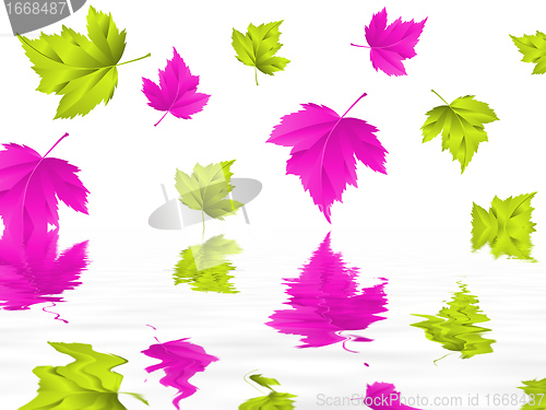 Image of leaf