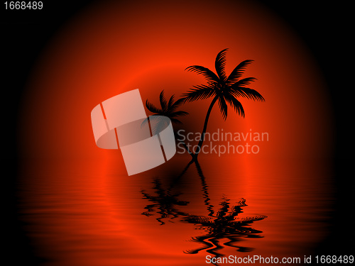 Image of tropical