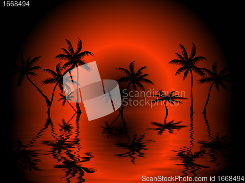 Image of tropical