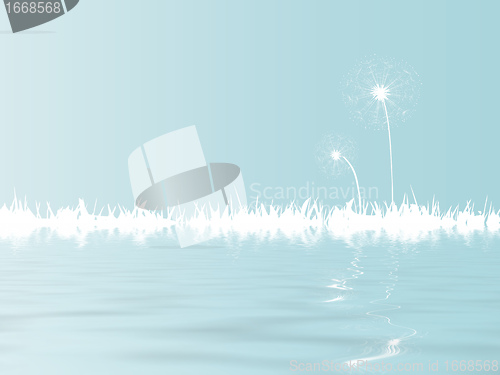 Image of dandelion