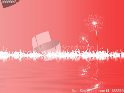 Image of dandelion