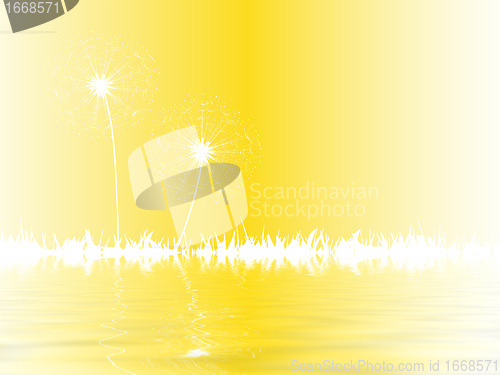 Image of dandelion