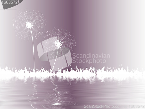 Image of dandelion