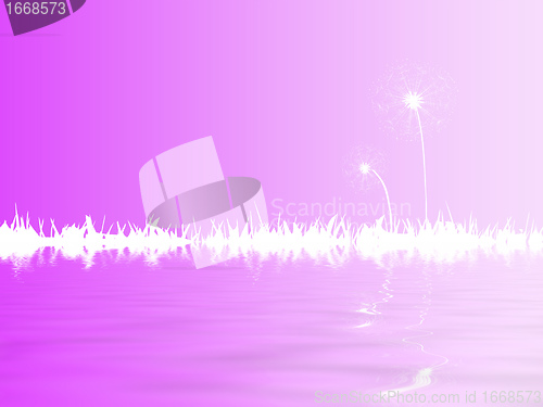 Image of dandelion