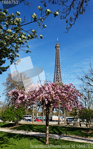 Image of Spring in Paris