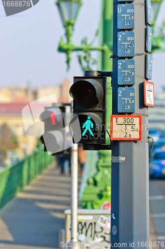 Image of Pedestrian lamp in the city