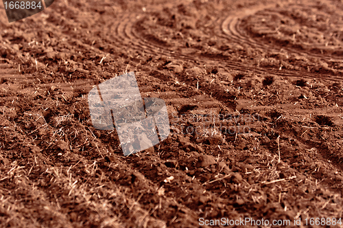 Image of Dry soil with dead plants