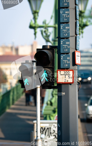 Image of Pedestrian lamp in the city