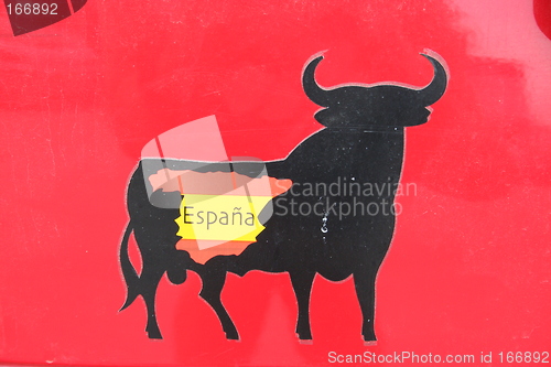 Image of Bull
