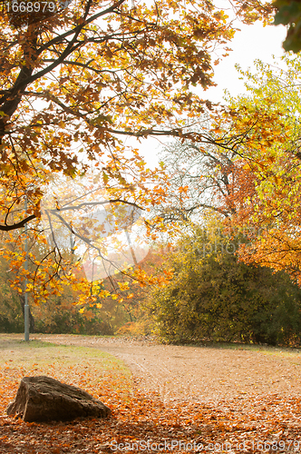 Image of Scene at the park