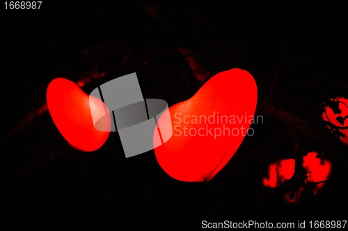 Image of Heart shapes in the dark