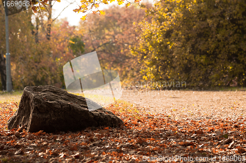 Image of Scene at the park