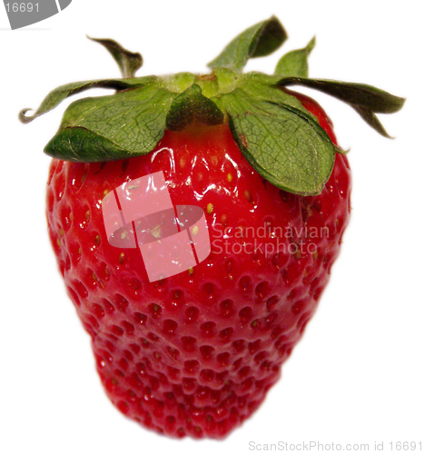 Image of Strawberry