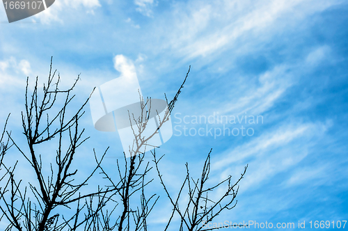 Image of Deep blue sky 