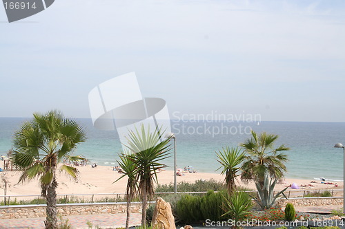 Image of The Mediterranean with palms in front of the picture