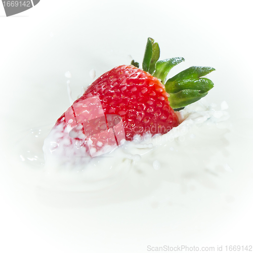 Image of strawberry splashing into milk