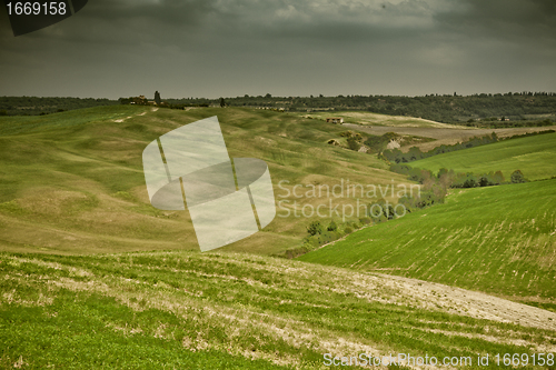 Image of Typical Tuscan landscape