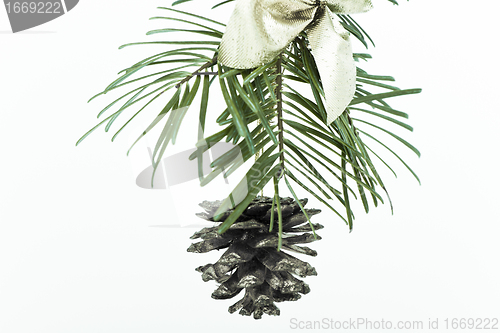 Image of decorated Christmas tree 