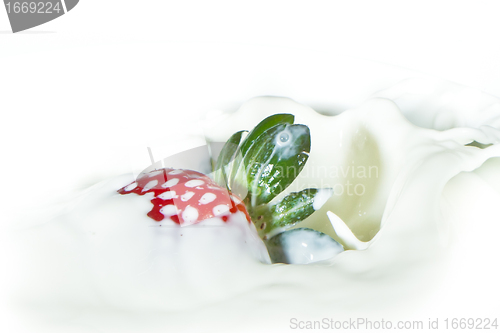 Image of strawberry splashing into milk