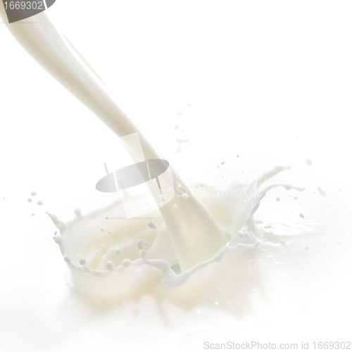 Image of milk splash