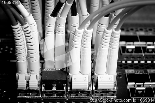 Image of network cables