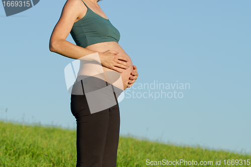 Image of pregnant woman on meadow