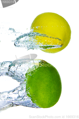 Image of citrus fruit splashing