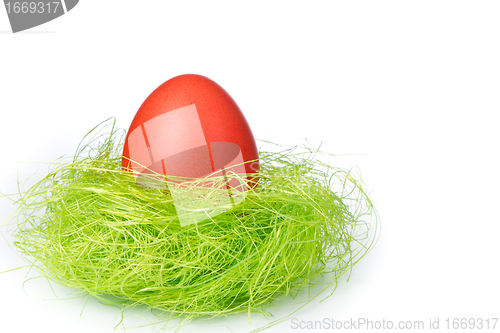 Image of easter egg in nest