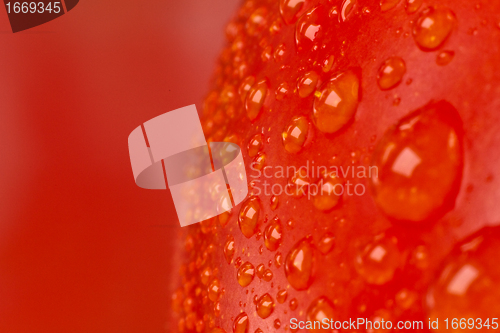 Image of tomato closeup