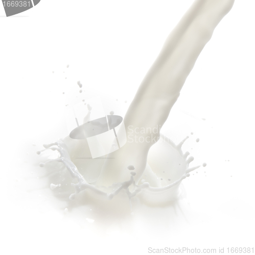 Image of milk splash