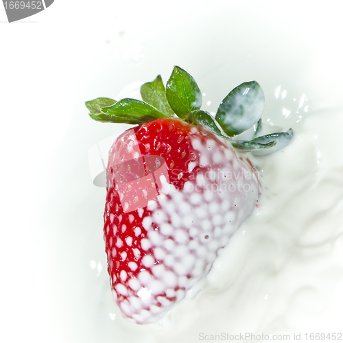 Image of strawberry splashing into milk