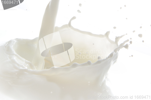 Image of milk splash