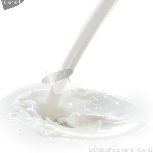 Image of milk splash