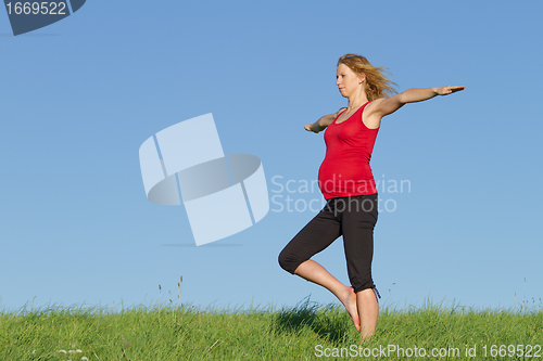 Image of pregnant woman on meadow