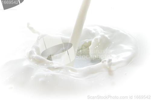 Image of milk splash