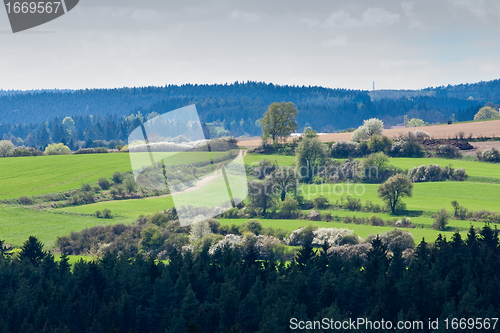 Image of green field