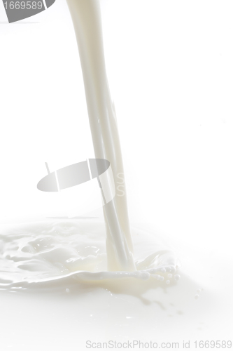 Image of milk splash