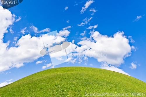 Image of green field