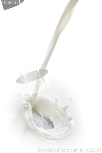 Image of milk splash