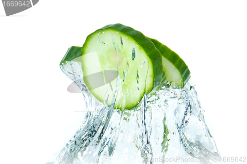 Image of cucumber in water