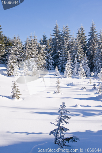 Image of fresh snow in the mountains