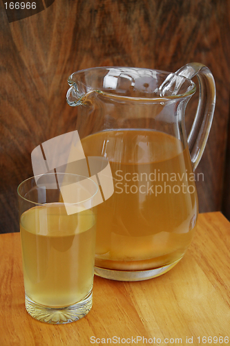 Image of Kombucha Tea 2