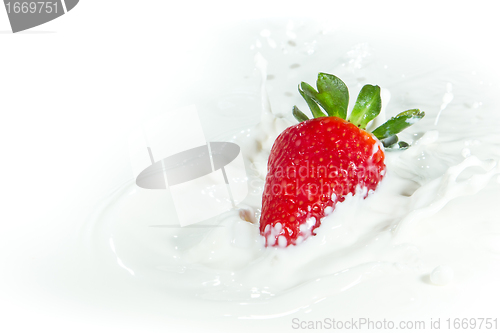 Image of strawberry splashing into milk