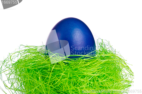 Image of easter egg in nest