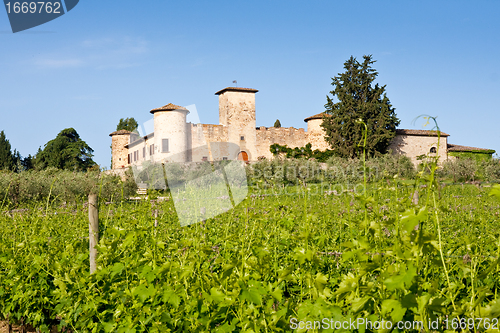 Image of Typical Tuscan landscape