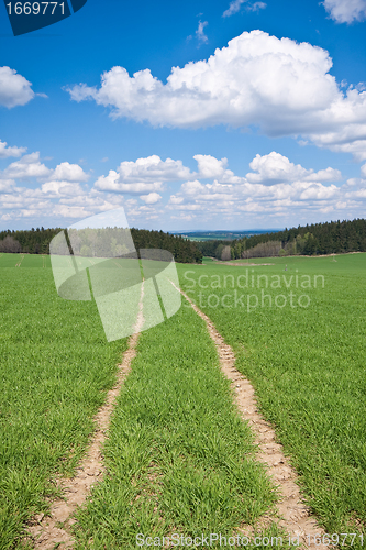 Image of green field