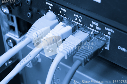 Image of ethernet cables